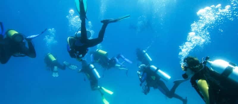Los Cabos 3-Hour Certified Scuba Diving Tour - The true price: $129 is only the starting point