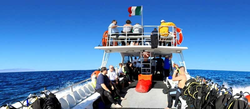 Los Cabos 3-Hour Certified Scuba Diving Tour - What the small group changes