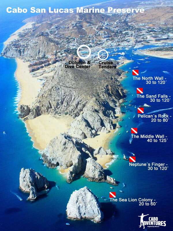 Los Cabos 3-Hour Certified Scuba Diving Tour - Health rules and what to bring