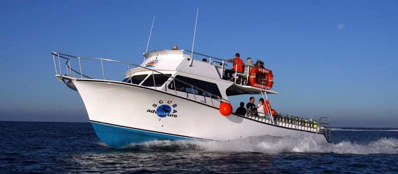 Los Cabos: 3-Hour Introductory Scuba Diving Adventure - Why Cabo San Lucas works for a first underwater lesson