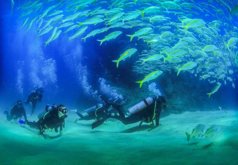 Los Cabos: 3-Hour Introductory Scuba Diving Adventure - From shallow water to the Sea of Cortez