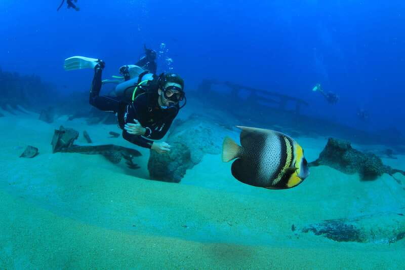 Los Cabos: 3-Hour Introductory Scuba Diving Adventure - Who should book this experience