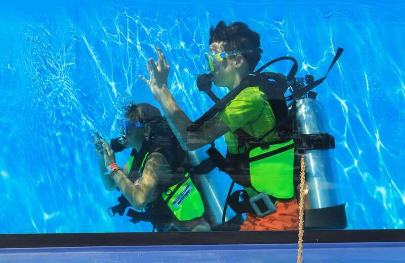 Los Cabos: 3-Hour Introductory Scuba Diving Adventure - Practical advice for a calmer first session