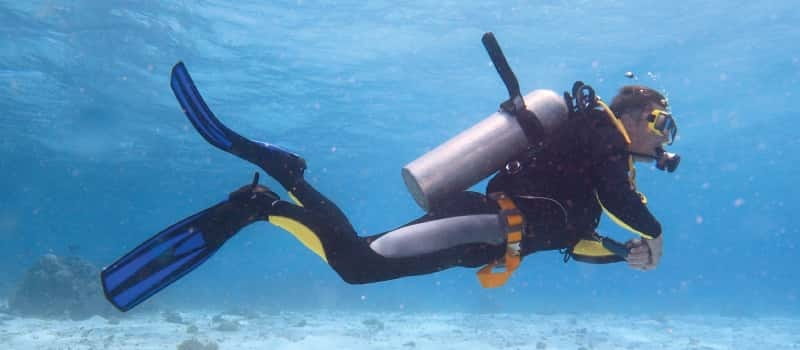 Los Cabos: 3-Hour Introductory Scuba Diving Adventure - Should you book the Cabo introductory scuba outing?