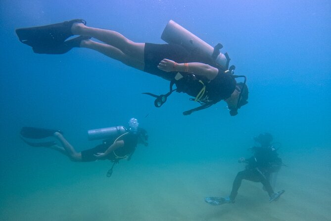 Los Cabos Beginner Scuba Dive Experience - Quick facts worth knowing