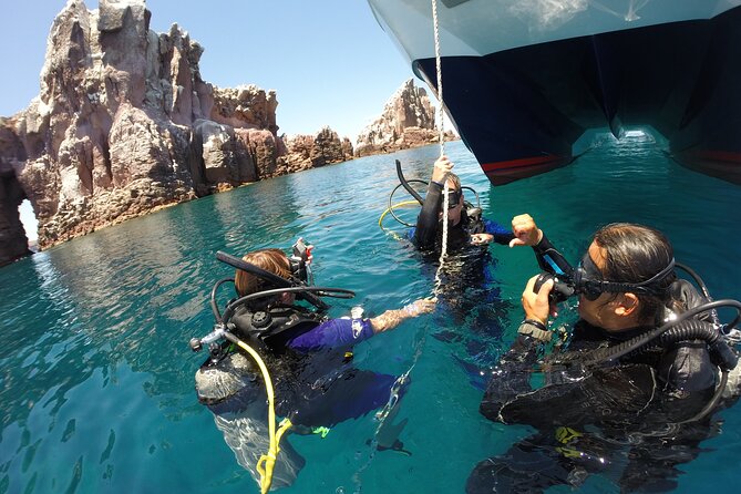 Los Cabos Beginner Scuba Dive Experience - Families, teens, and nervous beginners