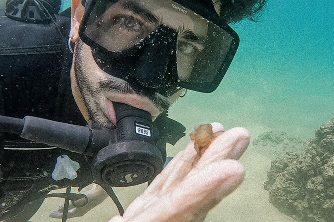 Los Cabos Beginner Scuba Dive Experience - What is included, and what costs extra