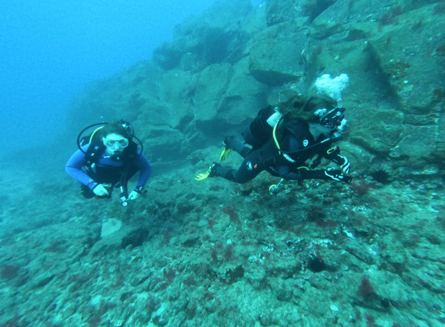 Los Cristianos: Try Dive for beginners - Marine life at five metres