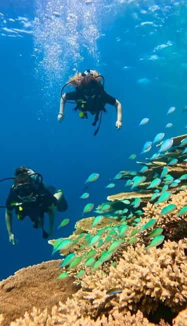 Maafushi: Discover Scuba Diving Class, First Time Experience - Key points to know before booking
