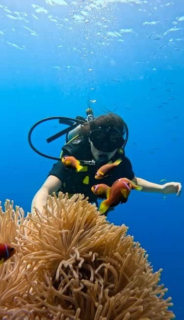 Maafushi: Discover Scuba Diving Class, First Time Experience - The 20-minute lesson that makes beginners feel safer