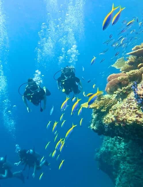 Maafushi: Discover Scuba Diving Class, First Time Experience - Boat ride to the coral garden reef