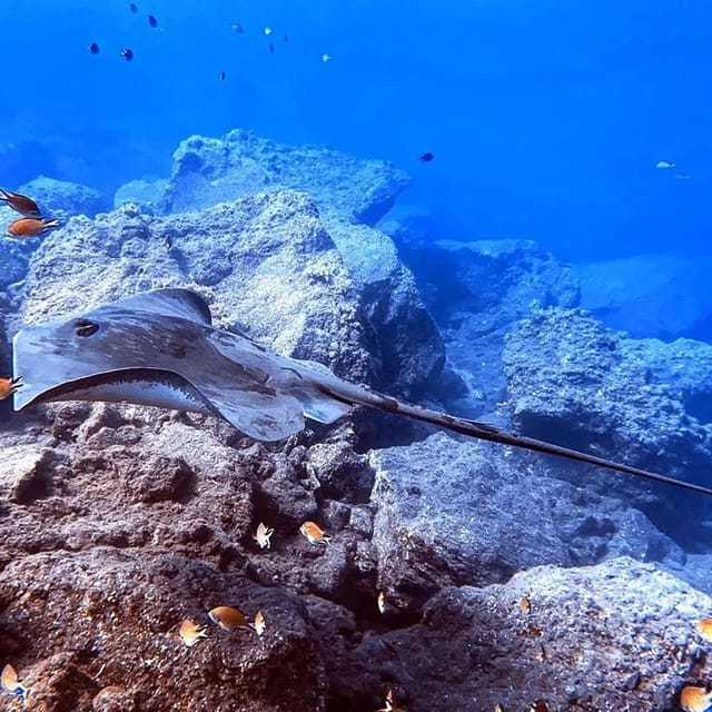 Madeira, Ponta São Lourenço: Scuba Diving for Beginners - The guides make the biggest difference