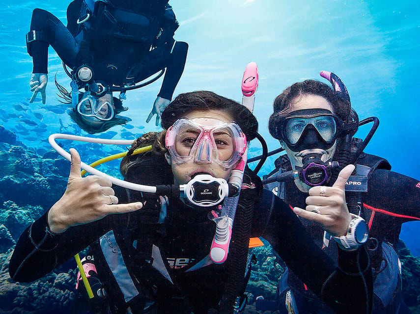 Madeira, Ponta São Lourenço: Scuba Diving for Beginners - Practical tips for a calmer first attempt