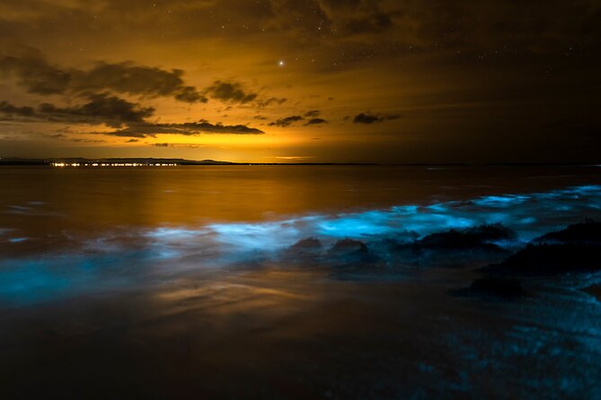 Magical Bioluminescent Night Dive - Why Bonaire’s nighttime water feels different