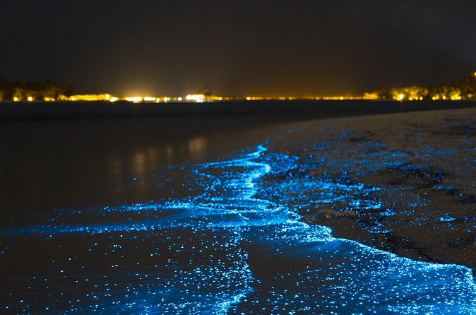 Magical Bioluminescent Night Dive - Gear preparation and the safety briefing