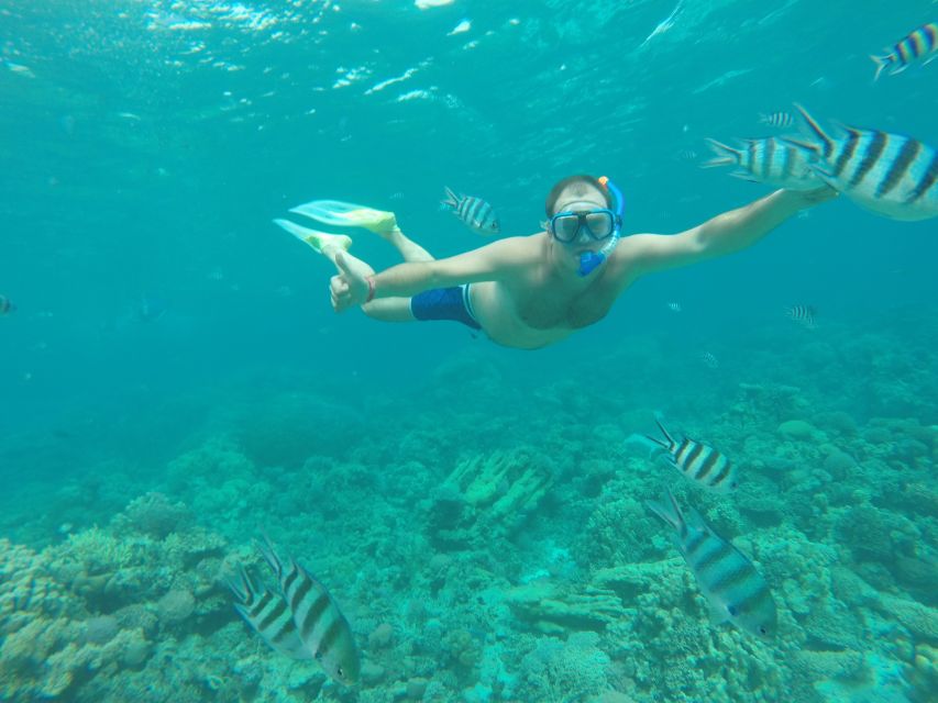Makadi Bay: Snorkelling and Diving Island Trip - Key points at a glance