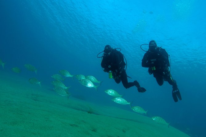 Make a private Try Dive, for your first Scuba experience! - Final Verdict: A Strong First Step Underwater