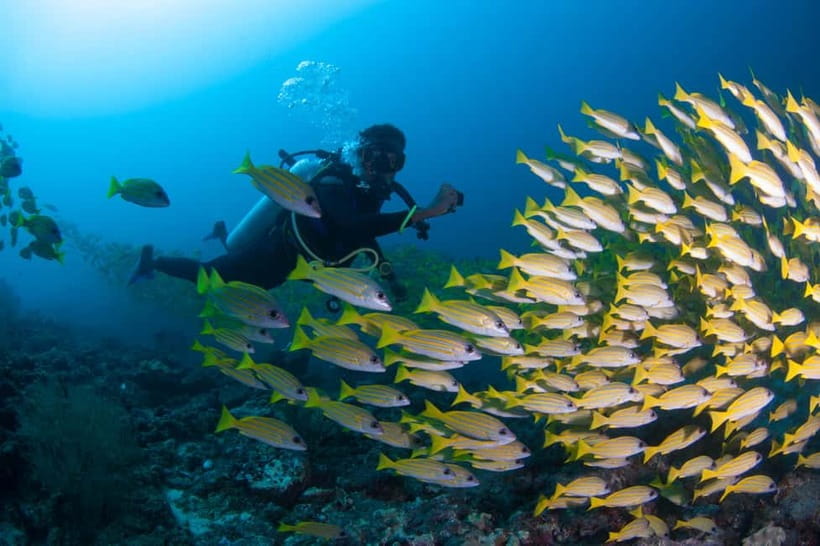 Maldives: Discover Scuba Diving - Key details before you book