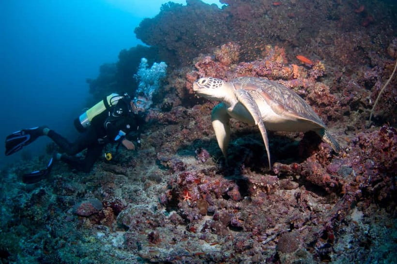 Maldives: Discover Scuba Diving - Learning the equipment in shallow water