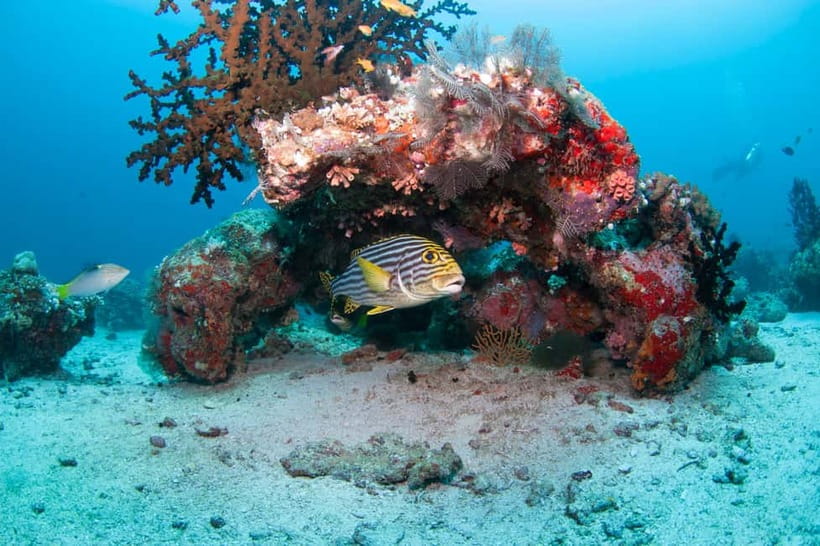 Maldives: Discover Scuba Diving - Meeting at Furuba Beach and getting ready