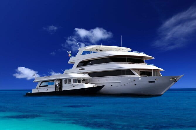 Maldives Dive Cruise Central Atolls Adventure - What your $2,750 buys you on the Maldives sea