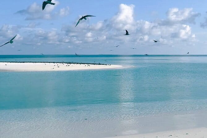 Maldives Dive Cruise Central Atolls Adventure - Day 6: North Ari’s fish-filled pinnacles and a return to Malé