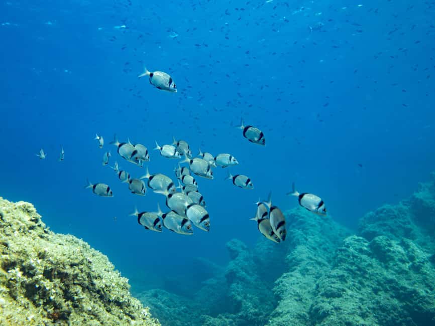 Mallorca: Adventure Diving (without a license - in the quiet off-season) - The Five-Minute Walk to the Entry Point