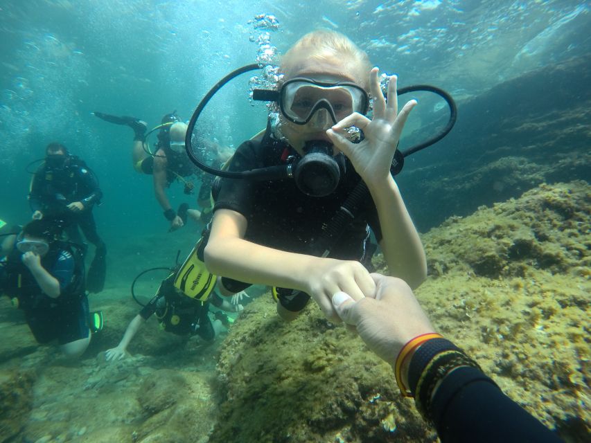 Mallorca: Discover Scuba Diving for Beginners - What you see, and what you should not expect