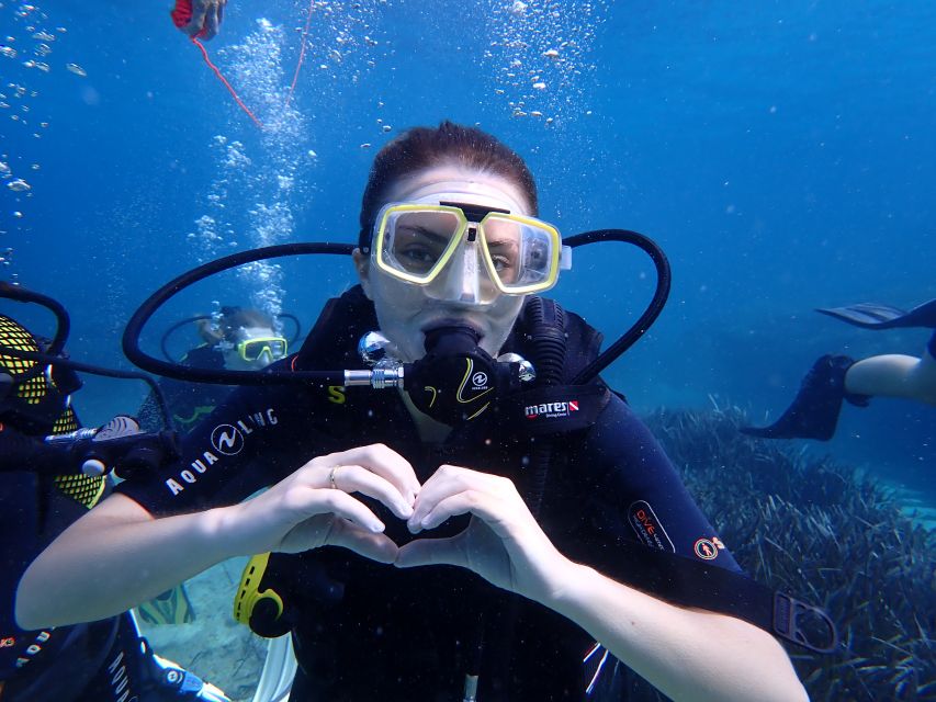 Mallorca: Discover Scuba Diving for Beginners - The 3.5-hour schedule, from briefing to sea