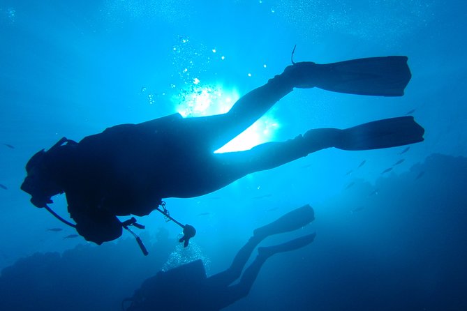 Mallorca: Discover Scuba Diving from the boat - The second session can reach 12 meters
