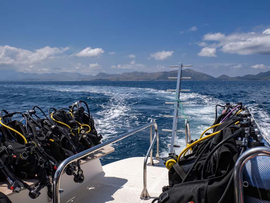 Mallorca: Scuba Dive Adventure Cap Formentor - 1 Dive (license required) - Booking Flexibility and Small-Group Timing