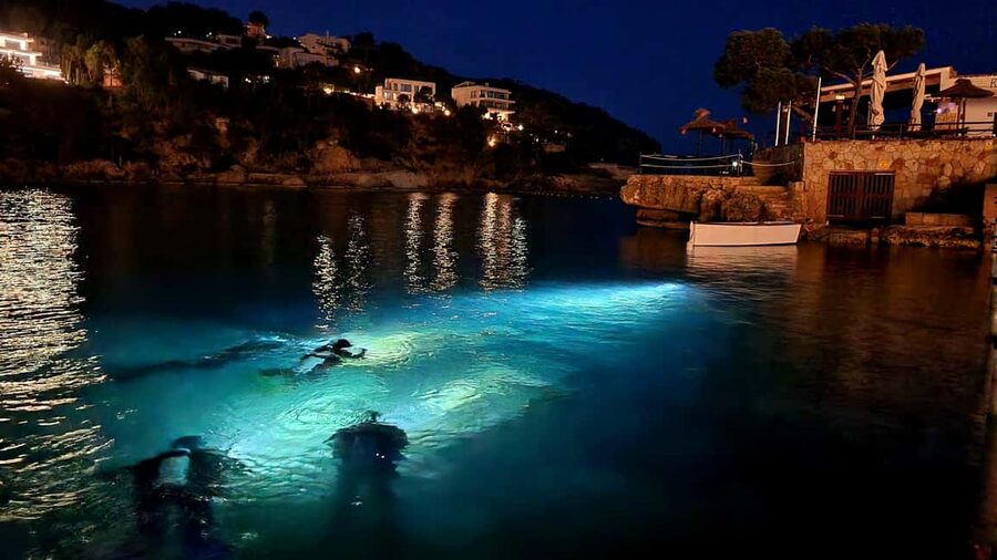 Mallorca: Scuba Diving for Beginners - What this Mallorca experience actually offers