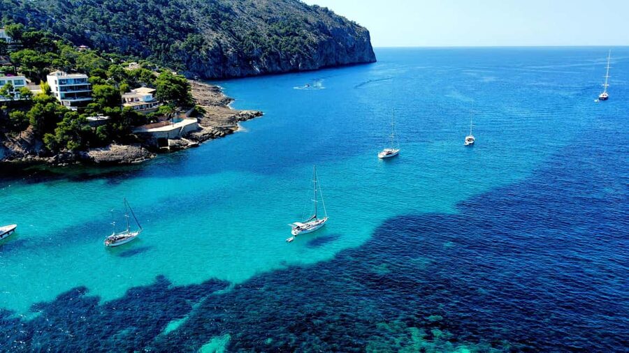 Mallorca: Scuba Diving for Beginners - What you may see around the reef