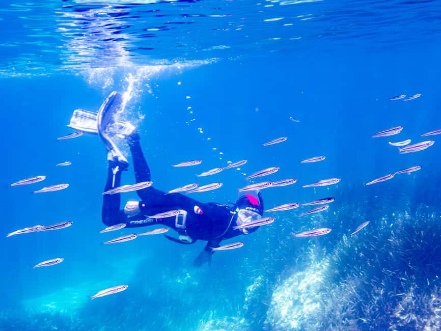 Mallorca: Snorkeling tour with diving instructor from a boat - Cap de Formentor - Meeting at SCUBANEO in Pollenca