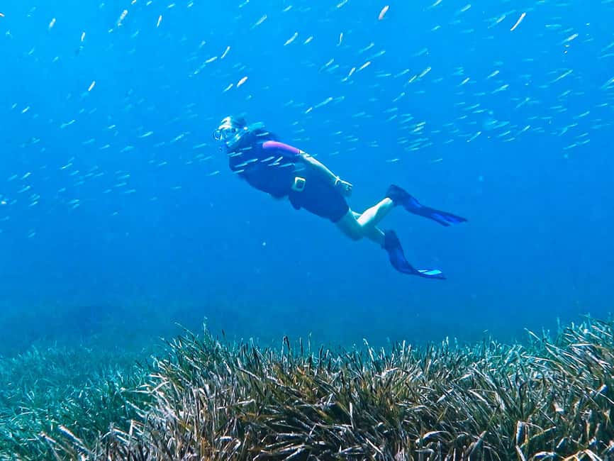 Mallorca: Snorkeling tour with diving instructor from a boat - Cap de Formentor - About 50 Minutes Among Fish and Rock