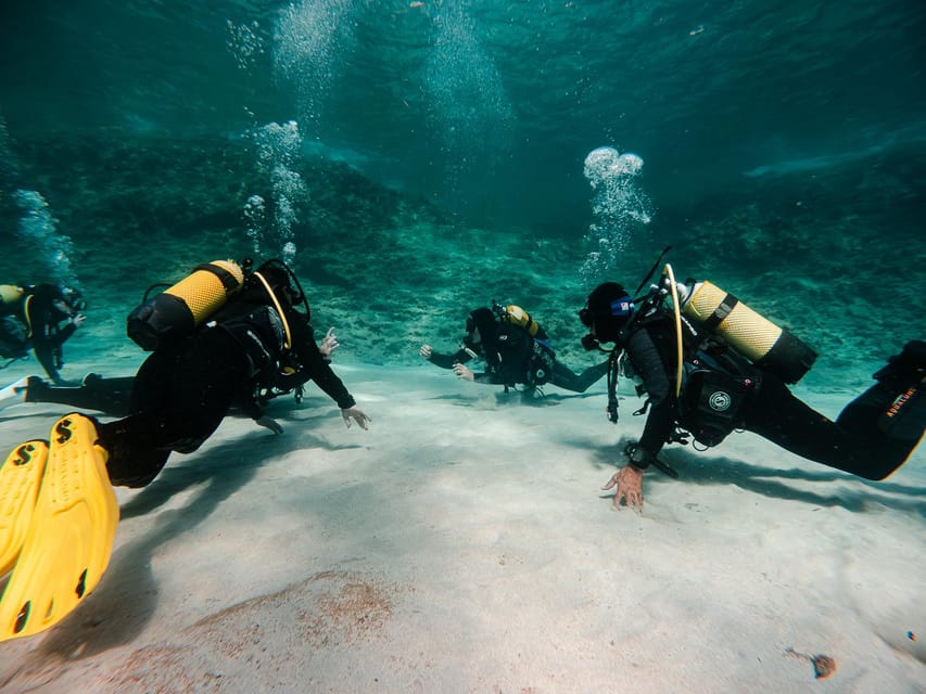 Mallorca: Try Scuba Diving by Boat - Key points at a glance