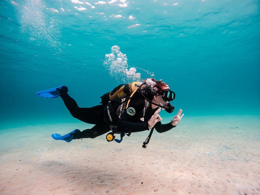 Mallorca: Try Scuba Diving by Boat - The Mediterranean seabed and its wildlife