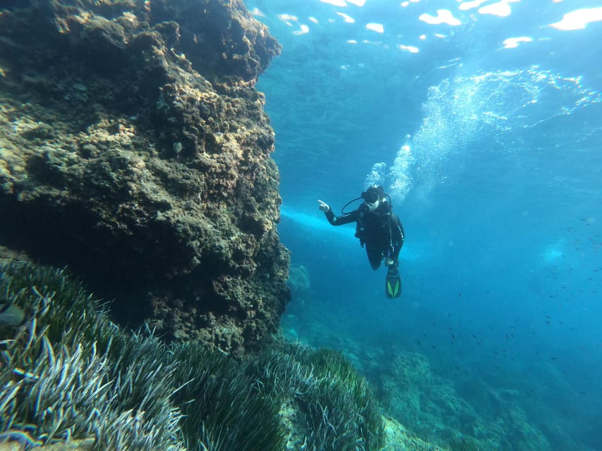 Mallorca: Try Scuba Diving by Boat - Final verdict: a strong first taste of scuba