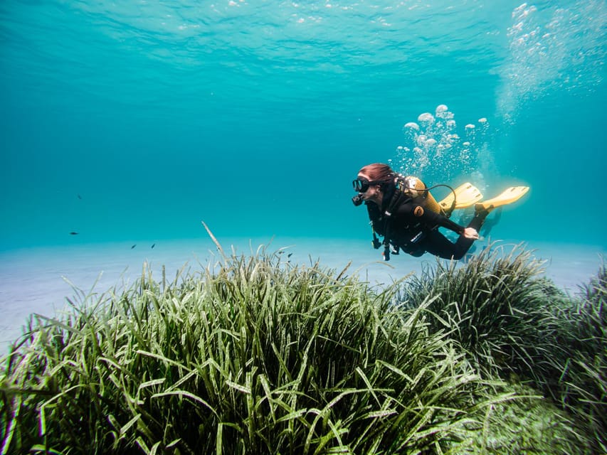 Mallorca: Try Scuba Diving by Boat - What happens during the two-hour outing