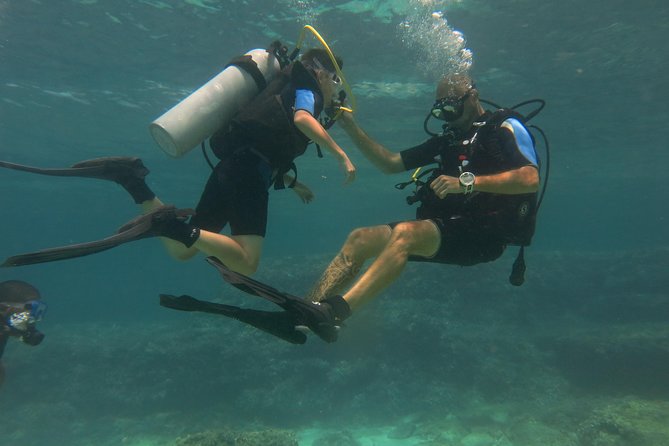 Mallorca: Try Scuba Diving in a Beautiful Nature Reserve - What this Mallorca experience is really like