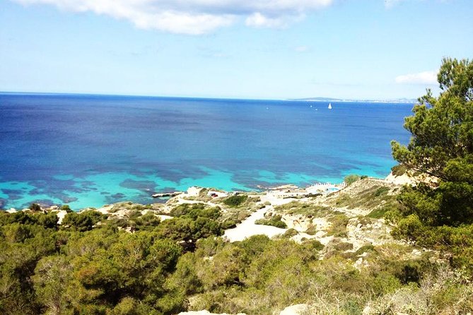 Mallorca: Try Scuba Diving in a Beautiful Nature Reserve - The briefing comes before the water