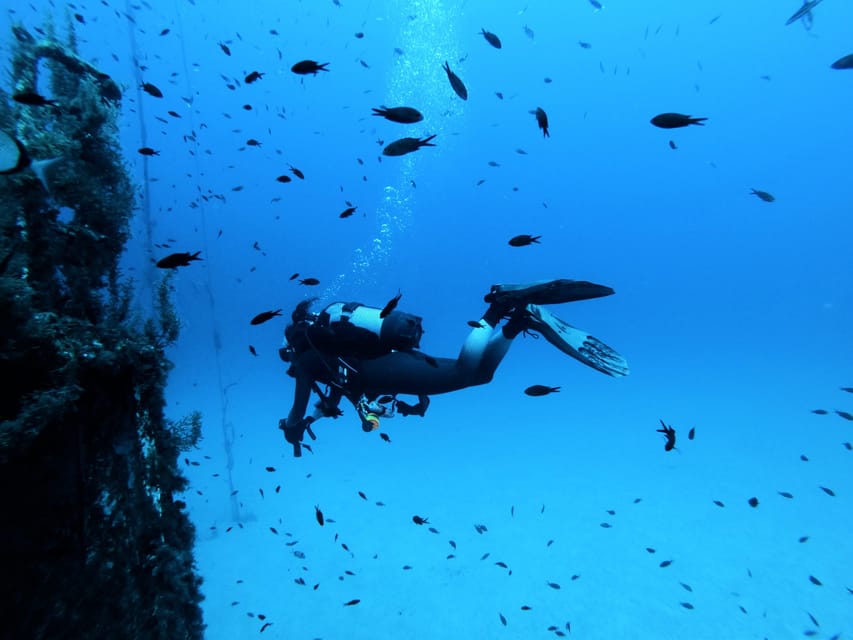 Malta: 2 Scuba Fun Dives for Certified divers - What makes this Malta scuba outing worth considering