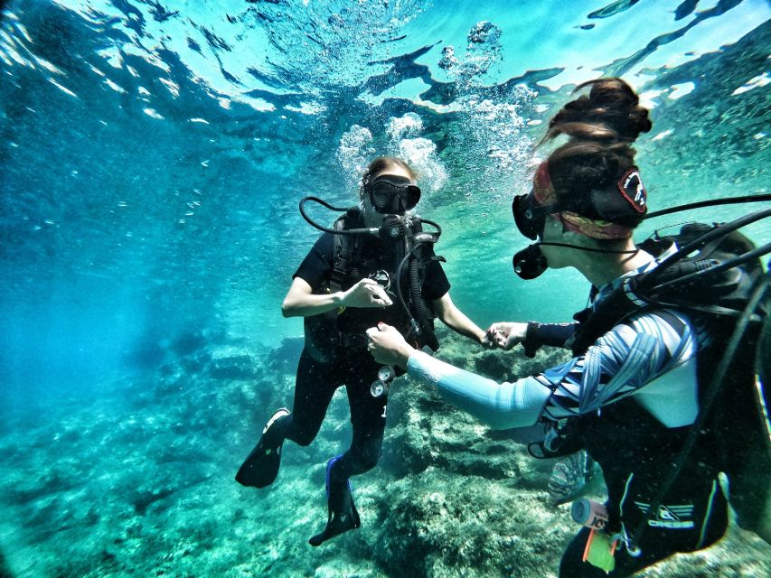 Malta: First Experience Scuba Diving Lesson - The second session: more time to look around