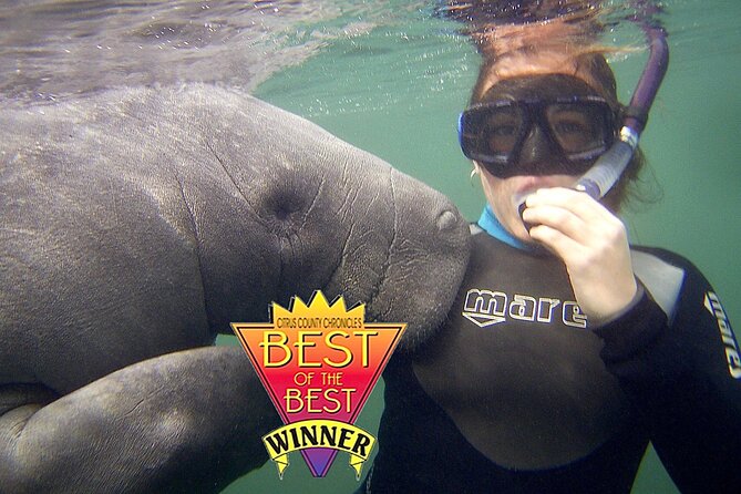 Manatee Snorkel Tour from American Pro Diving Center - How the $65 price holds up