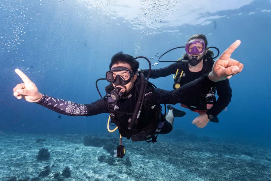 Manta Dive Gili Trawangan: Discover Scuba Diving - Who will enjoy this most