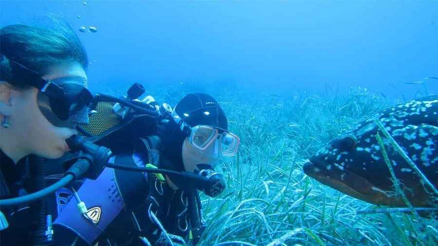 Marina di Campo: Try diving on the island of Elba - A Calm First Step Into Elba’s Underwater World