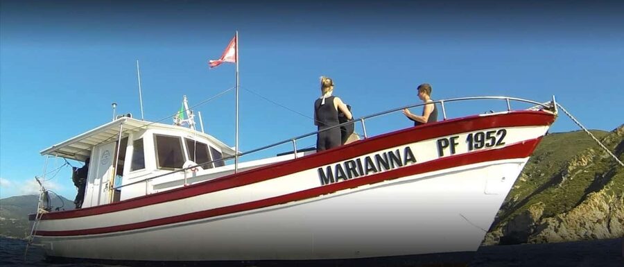 Marina di Campo: Try diving on the island of Elba - What to Bring and How to Set Expectations