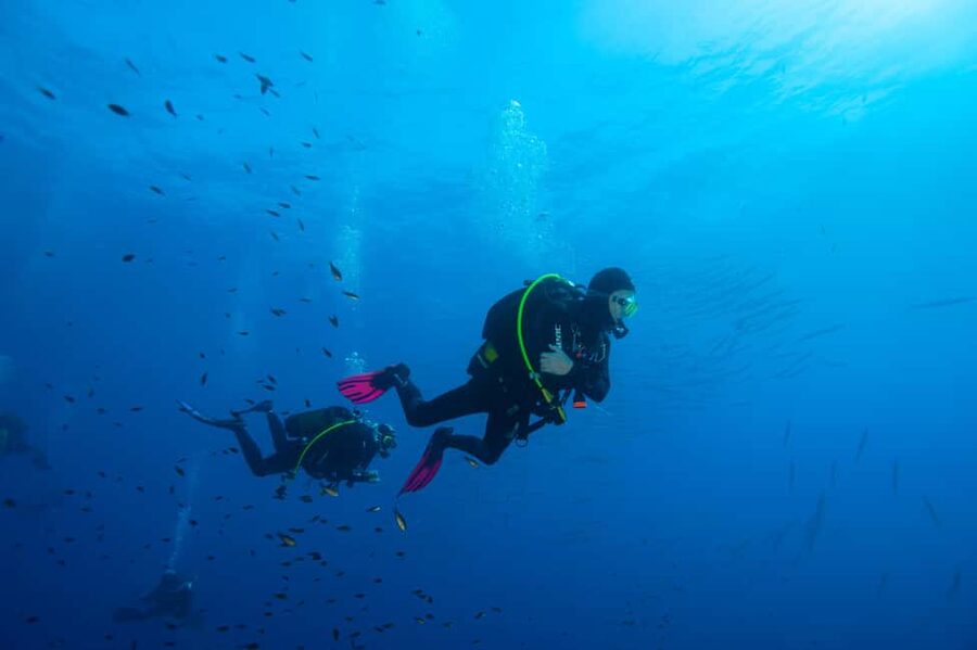 Marina di Campo: Try diving on the island of Elba - From Marina di Campo to the MARIANNA