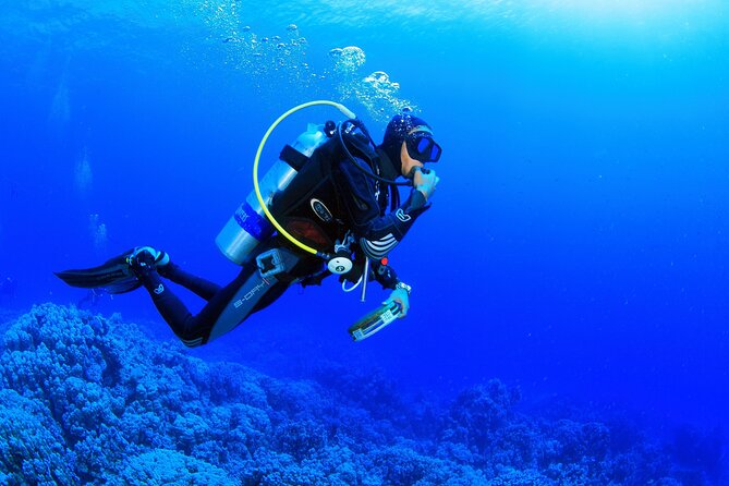 Marmaris Full Day Scuba Diving Two Dives With Lunch Hotel pickup - Lunch and the Wait Between Sessions