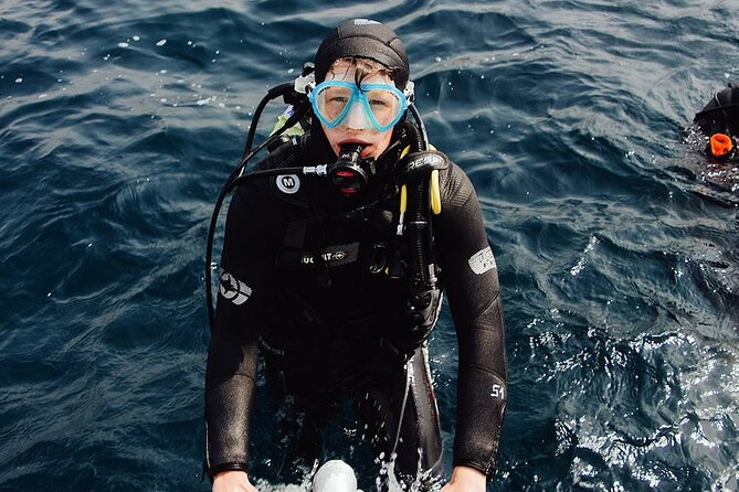 Marmaris Full Day Scuba Diving Two Dives With Lunch Hotel pickup - Is $40 Good Value?